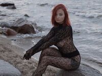 free live chatroom NickolPeterson