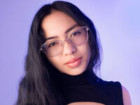 videochat VanneSoft